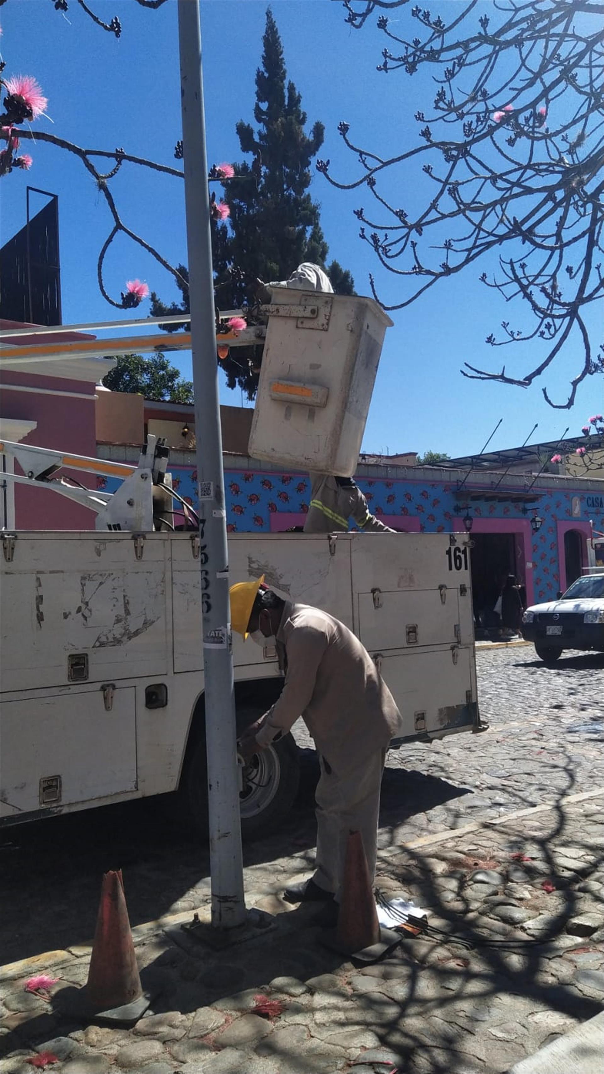 Con el apoyo de la población, el municipio de Oaxaca, recupera su esplendor.