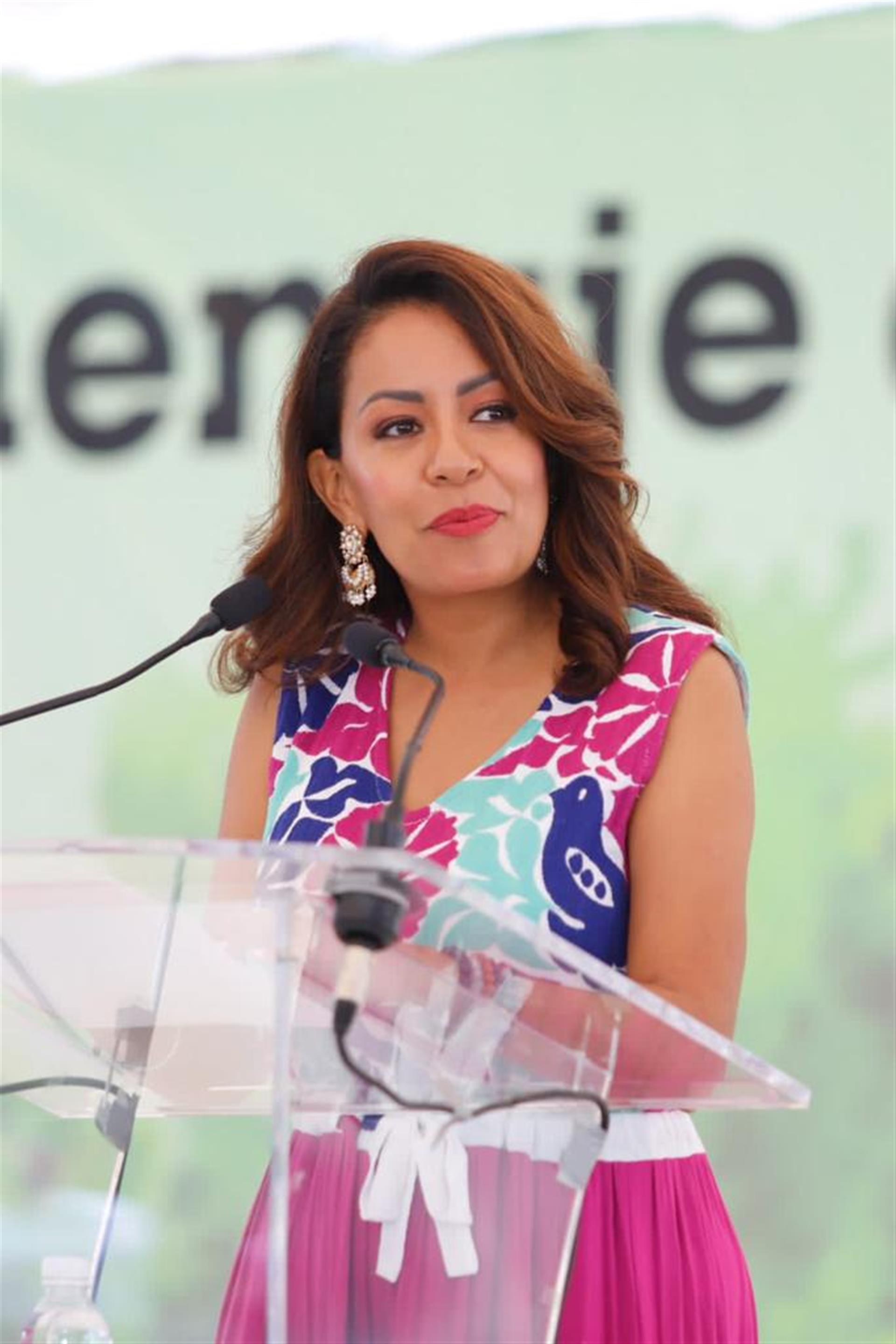 Llama Mariana Benítez a fortalecer las acciones ambientalistas en Oaxaca