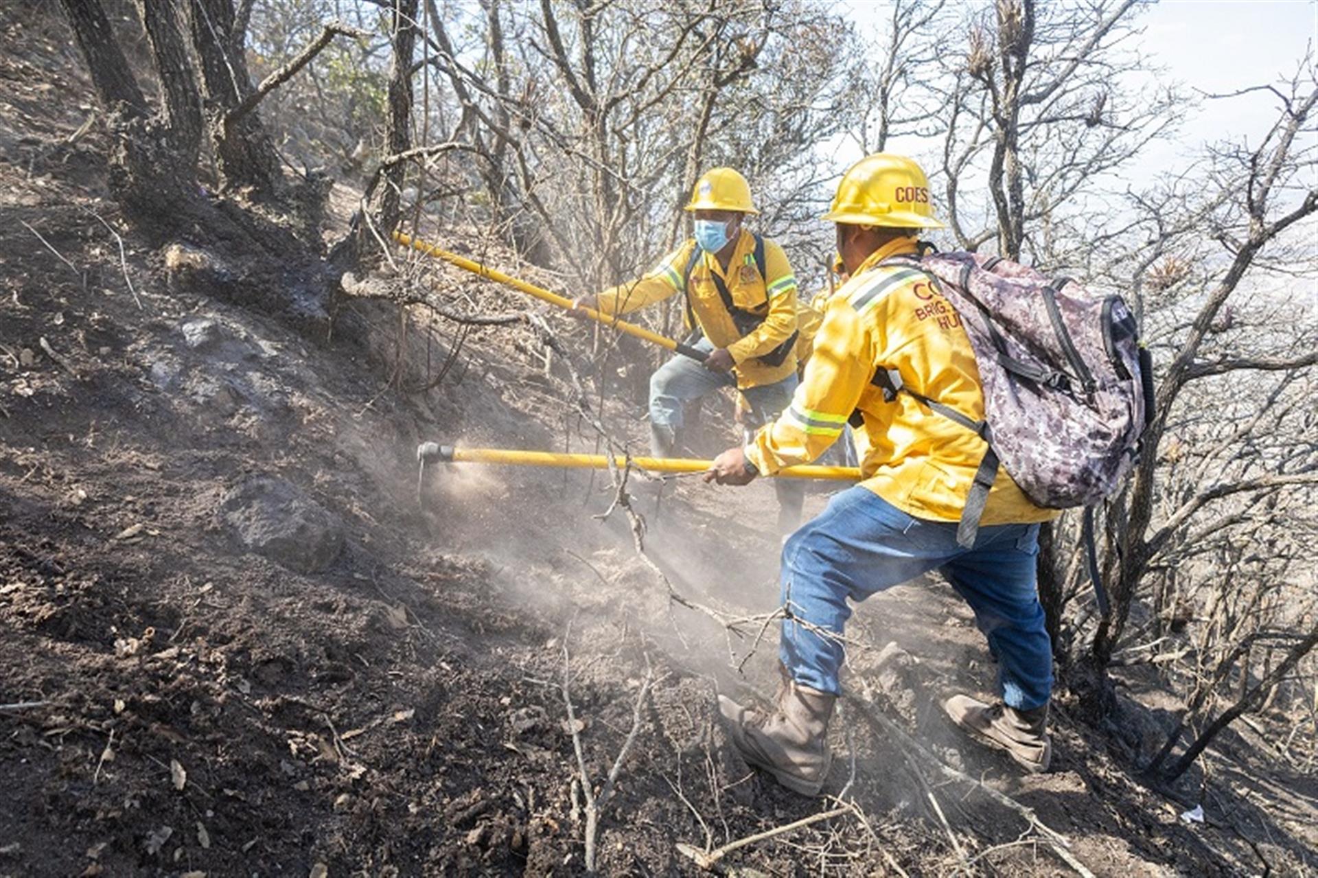 Liquidado incendio en San Dionisio Ocotepec