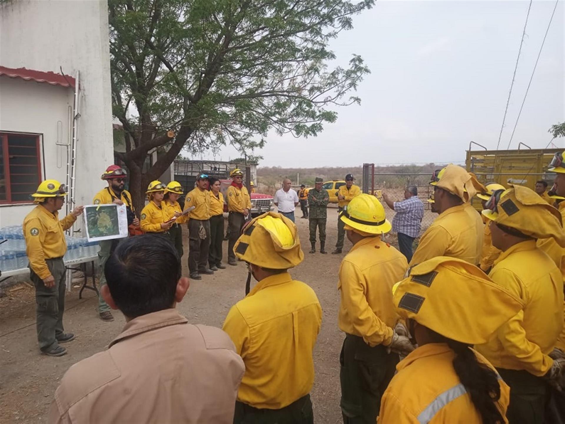 Entregan insumos a personas combatientes del incendio en los Chimalapas   