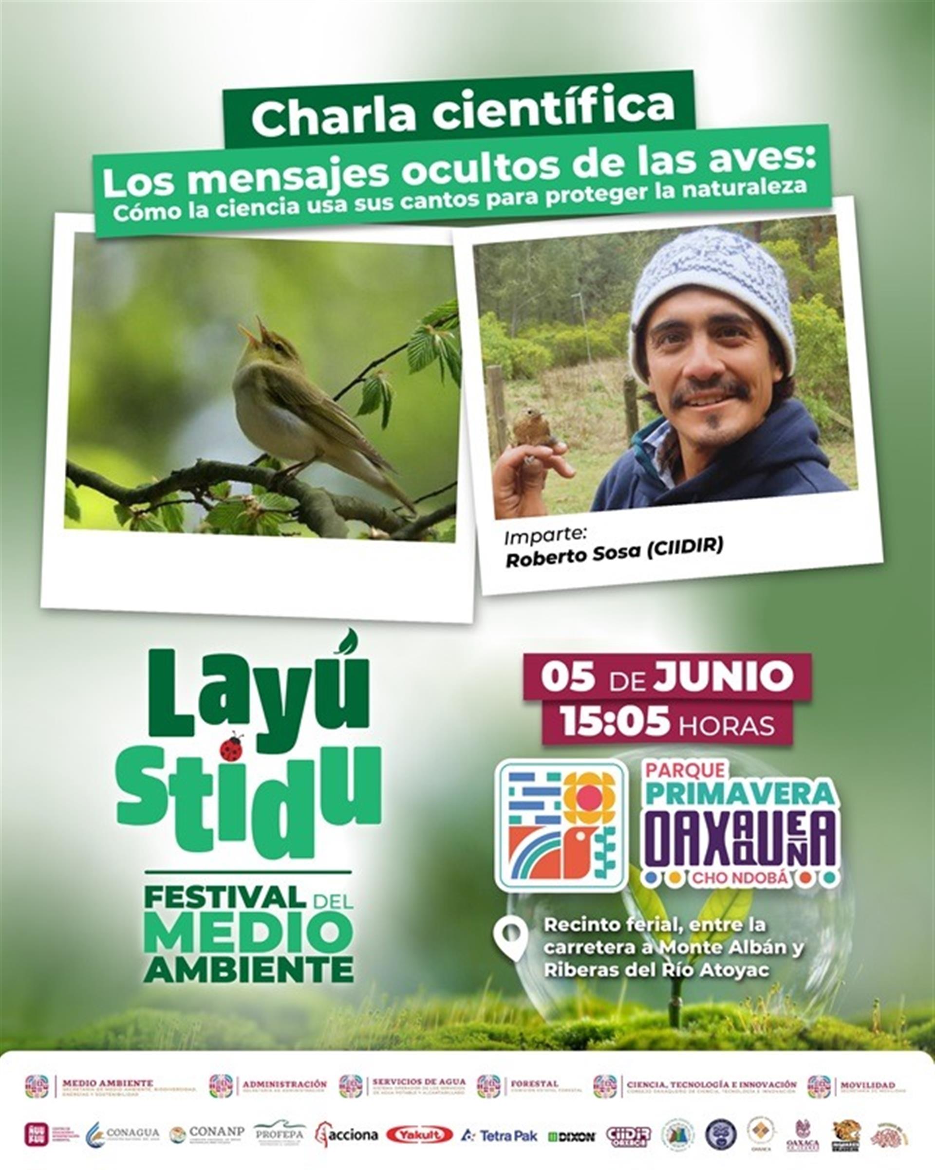 Invitan a la charla científica “Mensajes ocultos de las aves” en el Festival del Medio Ambiente “Layú Stidu”
